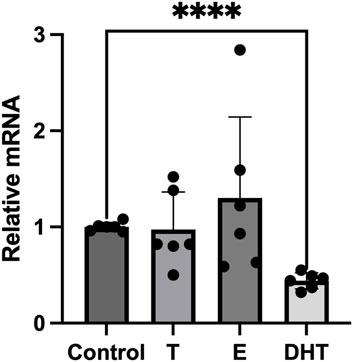 Non-aromatizable androgens modulate the lipopolysaccharide induced expression of the P2X7 receptor in human adipocytes